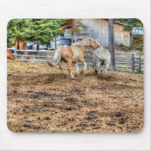 Spielen Palomino & White Ranch Pferd Mousepad