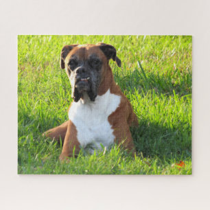 Spielen Sie den Boxer - Puzzle
