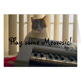 Spielen Sie ein Meowsic!