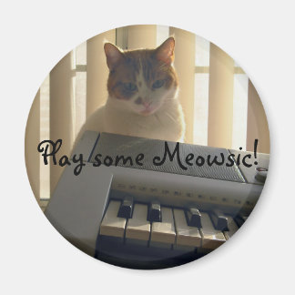 Spielen Sie ein Meowsic! Magnet