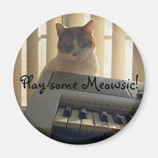 Spielen Sie ein Meowsic! Magnet (Vorne)