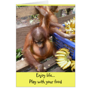 Spielen Sie mit Ihrem Essen