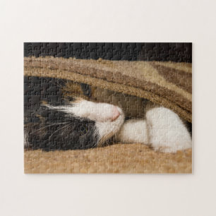 Spielen unter dem Rug Puzzle