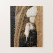 Spielen unter dem Rug Puzzle (Vertikal)