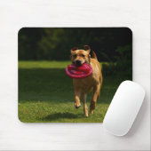 Spielen von Frisbee Mousepad (Mit Mouse)