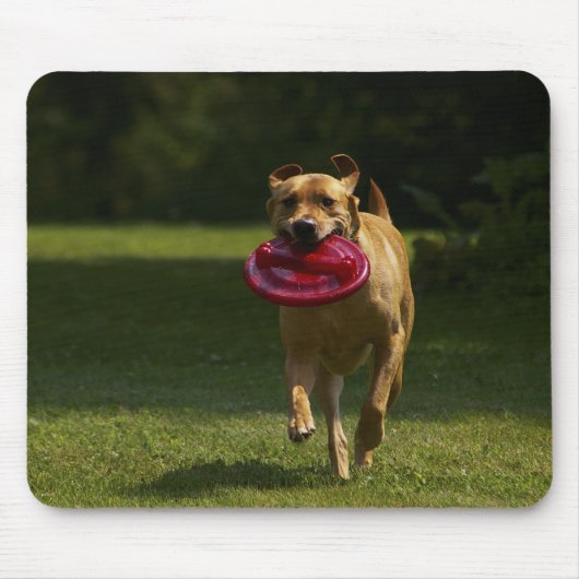 Spielen von Frisbee Mousepad (Vorne)