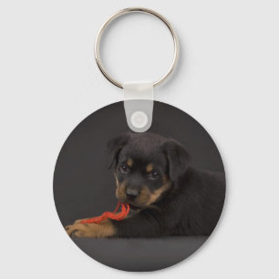 Spielen von Welpen 5 Schlüsselanhänger