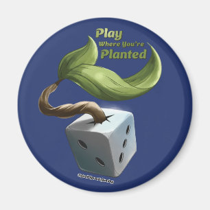 Spielen, wo du gepflanzter Magnet bist