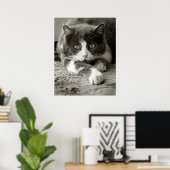 Spielend Katzenschwarz und weiß Poster (Heimbüro)