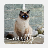 Spielend Script Pet Foto Weihnachten Ornament Aus Metall (Rückseite)