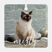 Spielend Script Pet Foto Weihnachten Ornament Aus Metall (Vorderseite)