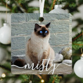 Spielend Script Pet Foto Weihnachten Ornament Aus Metall