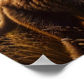 Spielende Affen tanzen auf der Wiese Poster (Ecke)