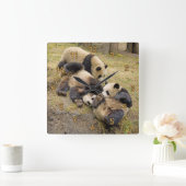 Spielende CUB-Wanduhr des Panda-drei Quadratische Wanduhr (Zuhause)