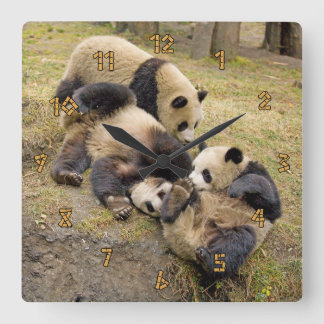 Spielende CUB-Wanduhr des Panda-drei Quadratische Wanduhr