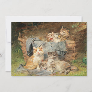 Spielende Katzen   Julius Adam the Younger