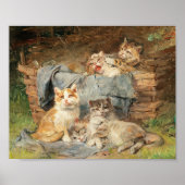 Spielende Katzen | Julius Adam the Younger Poster (Vorne)