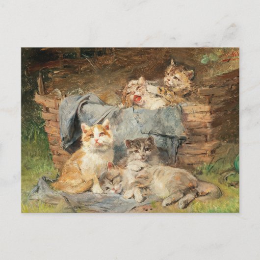 Spielende Katzen | Julius Adam the Younger Postkarte (Vorderseite)