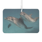 Spielende Pose Autolufterfrischer (Rückseite)