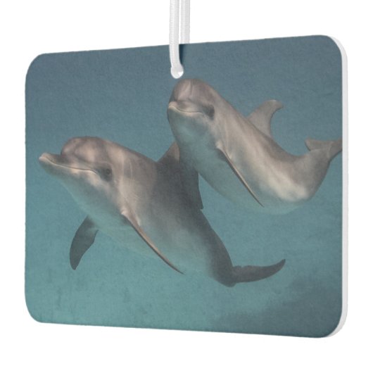 Spielende Pose Autolufterfrischer (Links)