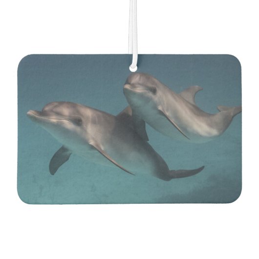 Spielende Pose Autolufterfrischer (Vorderseite)