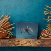 Spielende Pose Fotoplatte (Seite)