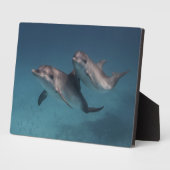 Spielende Pose Fotoplatte (Seite)