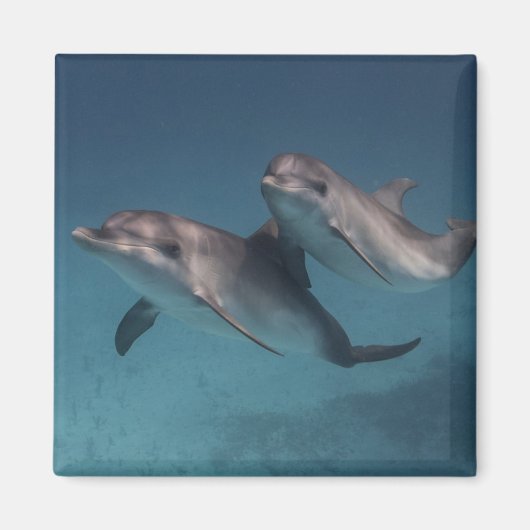 Spielende Pose Magnet (Vorne)