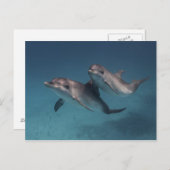 Spielende Pose Postkarte (Vorne/Hinten)