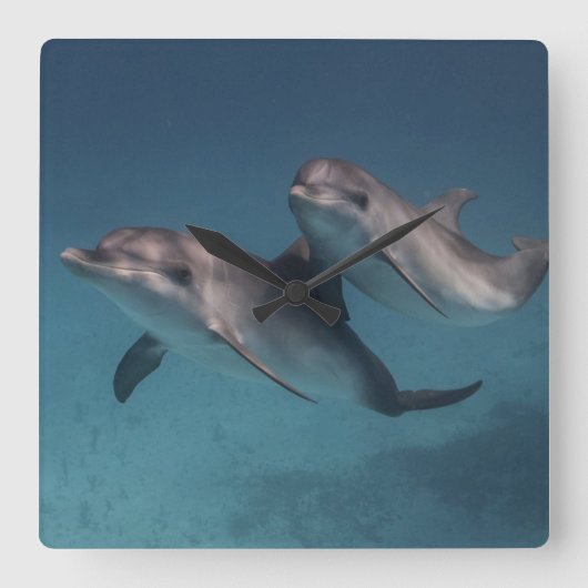 Spielende Pose Quadratische Wanduhr (Vorderseite)