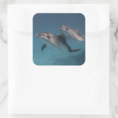 Spielende Pose Quadratischer Aufkleber (Tasche)