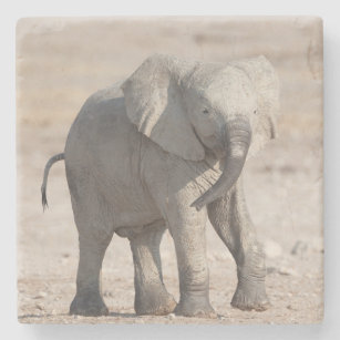 Spielender junger Elefant Steinuntersetzer