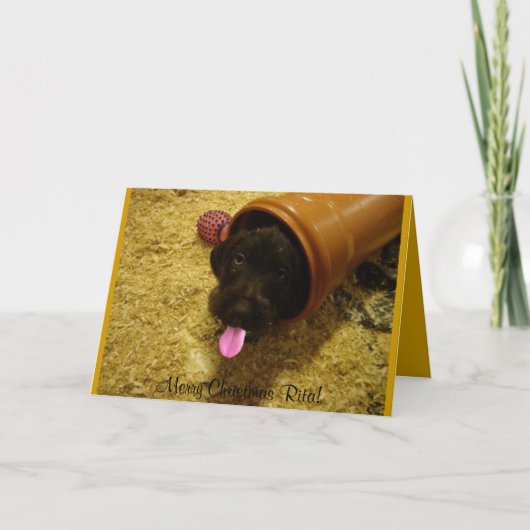 Spielender Welpe Feiertagskarte (Vorderseite)