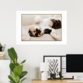 Spielendes Katzenposter Poster (Heimbüro)