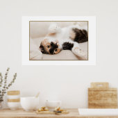 Spielendes Katzenposter Poster (Küche)