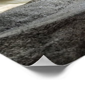 Spielendes Polarbär-Poster Poster (Ecke)