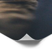 Spielendes Tabby Cat Foto Print Poster (Ecke)