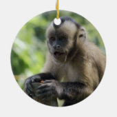 Spielerische Affe-Verzierung Keramikornament (Hinten)