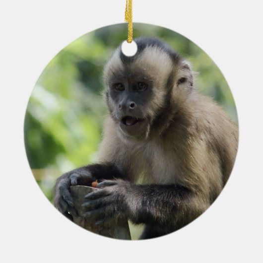Spielerische Affe-Verzierung Keramikornament (Hinten)