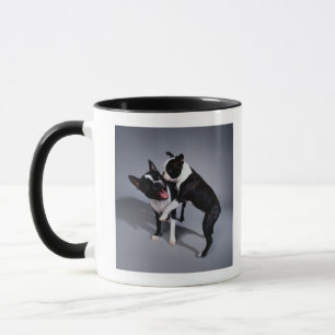 Spielerische Boston-Terrier Tasse