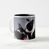 Spielerische Boston-Terrier Zweifarbige Tasse (Vorderseite Links)