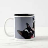 Spielerische Boston-Terrier Zweifarbige Tasse (Links)