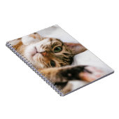 spielerische Katze Notizblock (Rechte Seite)