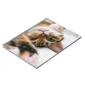spielerische Katze Notizblock (Linke Seite)