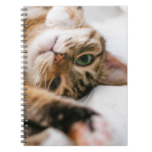 spielerische Katze Notizblock