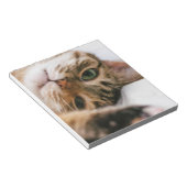 spielerische Katze Notizblock (angewinkelt)