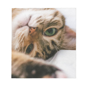 spielerische Katze Notizblock