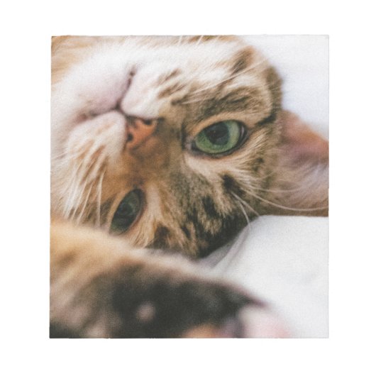 spielerische Katze Notizblock (Vorderseite)
