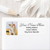 Spielerische Kitten-Rücksendeadresse (Insitu)