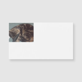 Spielerische Magnetkarten für Dave (25 Pack) Magnetkarte